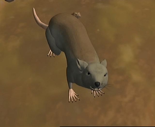 ./ep01/beast_092.mp4.gif
