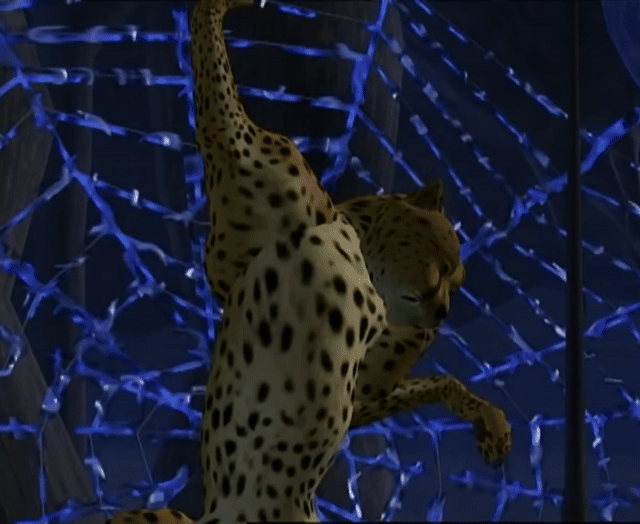 ./ep03/beast_181.mp4.gif