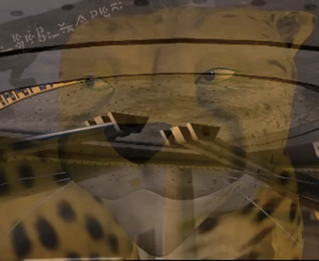 ./ep04/beast_062.mp4.gif