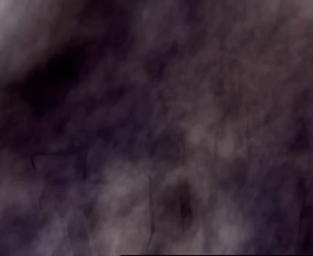 ./ep04/beast_212.mp4.gif