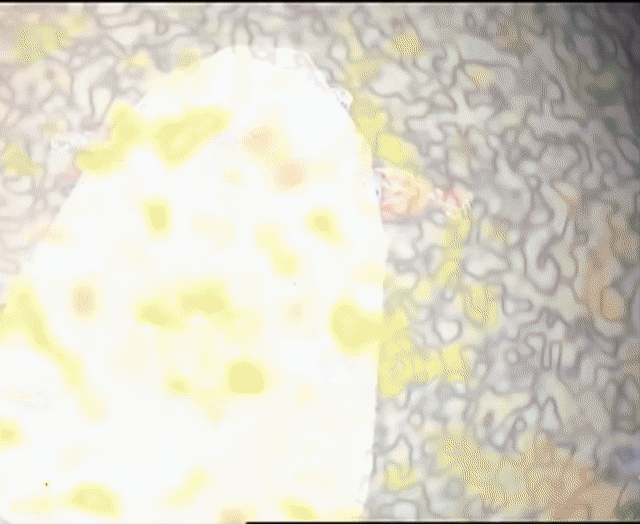 ./ep06/beast_120.mp4.gif