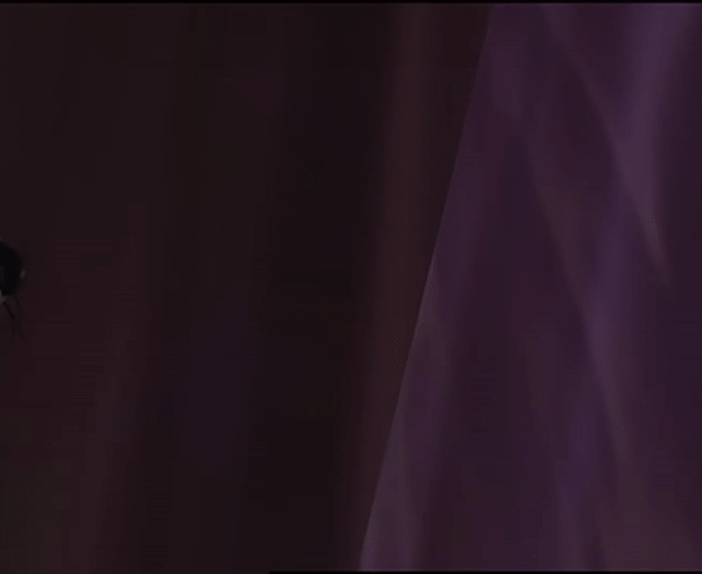 ./ep06/beast_141.mp4.gif