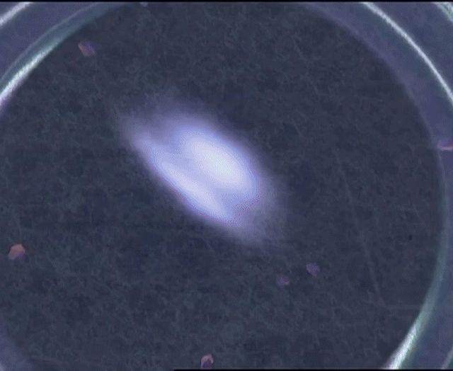 ./ep06/beast_175.mp4.gif