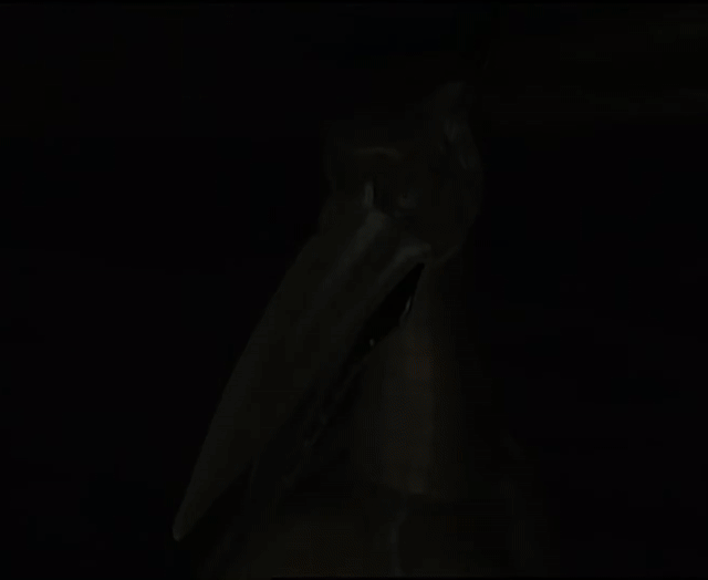 ./ep06/beast_186.mp4.gif