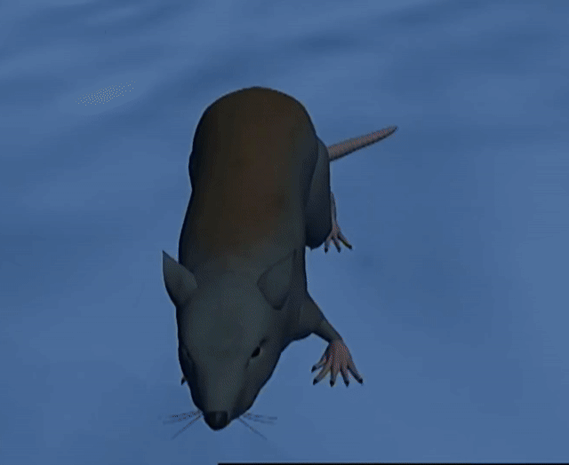 ./ep07/beast_100.mp4.gif