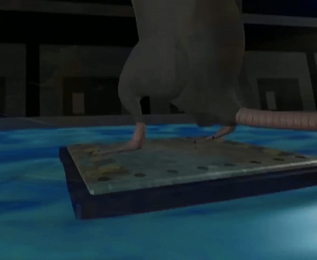 ./ep11/beast_107.mp4.gif