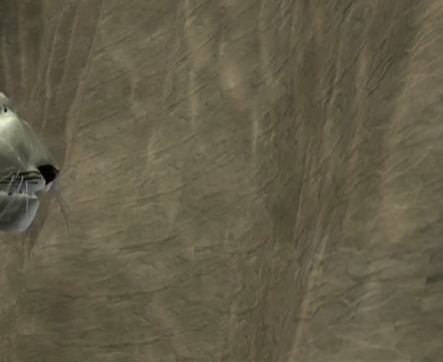 ./ep11/beast_116.mp4.gif