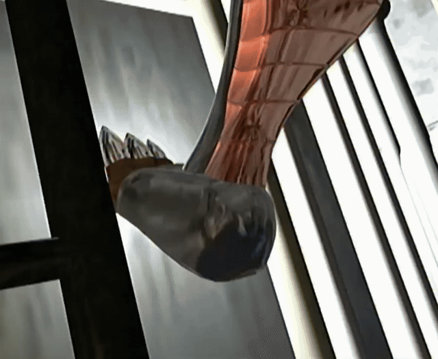 ./ep11/beast_148.mp4.gif